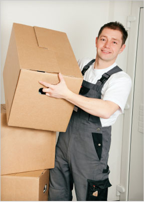 What You Get When You Hire a Man & Van