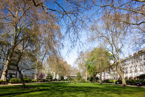 Belsize Park man and van NW3 removals