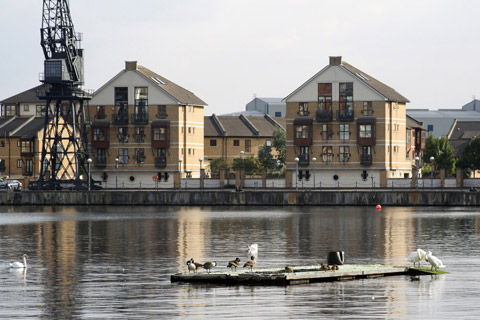 Bow man and van E3 removals