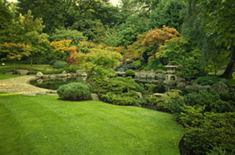 Holland Park man and van hire W8, W11, W2 removals