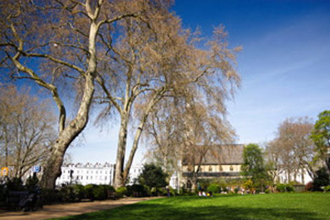 Pimlico man and van hire SW1, W1, SW3 removals