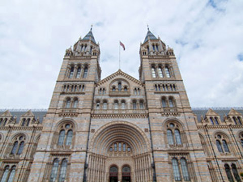 South Kensington man and van SW7 removals