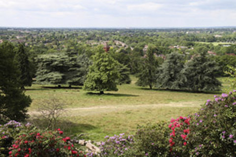 SW15, SW14, SW13 man and van Roehampton removals