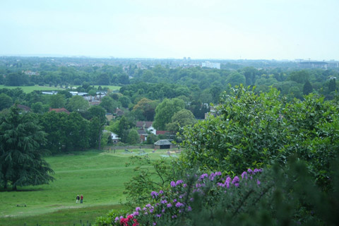 SW20 man and van hire West Wimbledon removals